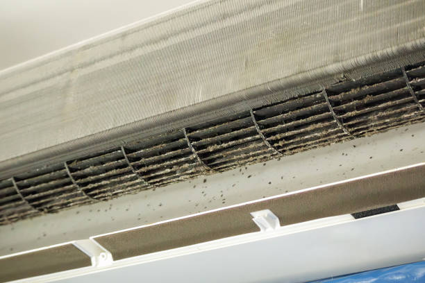 Best HVAC Air Duct Cleaning  in Island Walk, FL